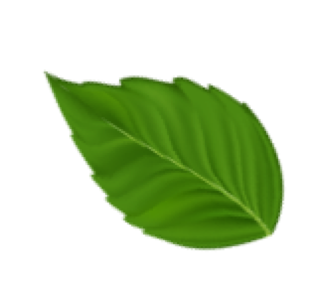 Sylvain Jarrix Ambert Paysage Paysagiste Elagage Jardin Tente Travaux Livradois Forez Marsac-en-livradois Arlanc 