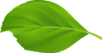 Sylvain Jarrix Ambert Paysage Paysagiste Elagage Jardin Tente Travaux Livradois Forez Marsac-en-livradois Arlanc 