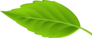 Sylvain Jarrix Ambert Paysage Paysagiste Elagage Jardin Tente Travaux Livradois Forez Marsac-en-livradois Arlanc 