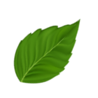 Sylvain Jarrix Ambert Paysage Paysagiste Elagage Jardin Tente Travaux Livradois Forez Marsac-en-livradois Arlanc 